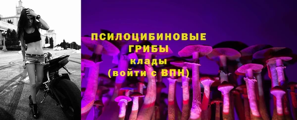 PSILOCYBIN Алексеевка