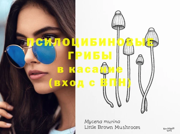 каннабис Алзамай