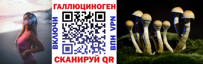 продажа наркотиков  Спас-Деменск  Галлюциногенные грибы Psilocybe 